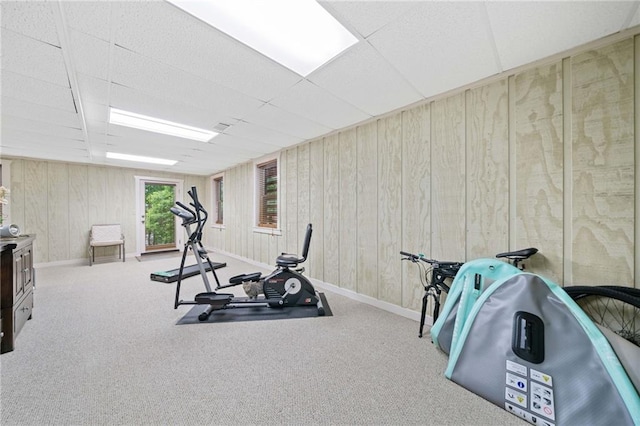 85 Misty Hollow Rdg, Ellijay, GA 30536 - workout room featuring wooden walls and carpet flooring