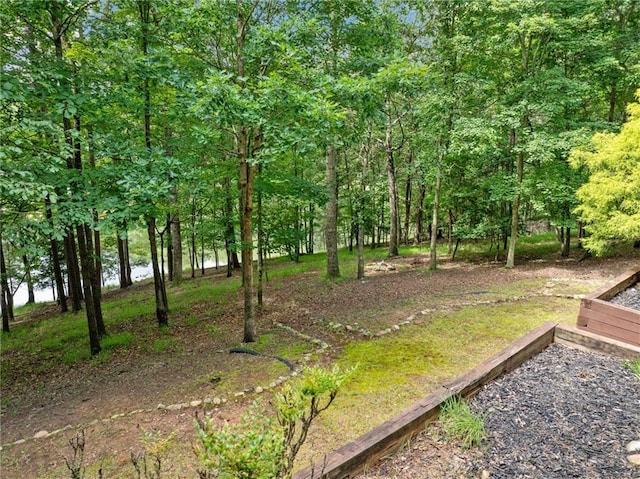 85 Misty Hollow Rdg, Ellijay, GA 30536 - view of yard