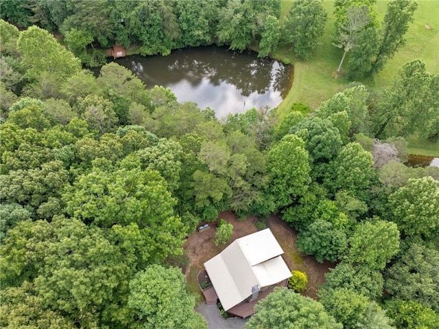 85 Misty Hollow Rdg, Ellijay, GA 30536 - aerial view of property's location featuring a large body of water and a heavily wooded area