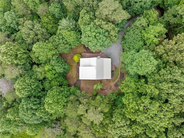 85 Misty Hollow Rdg, Ellijay, GA 30536 - aerial view