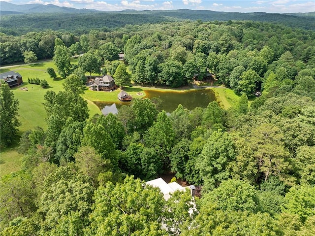 85 Misty Hollow Rdg, Ellijay, GA 30536 - drone / aerial view of a forest and a nearby body of water