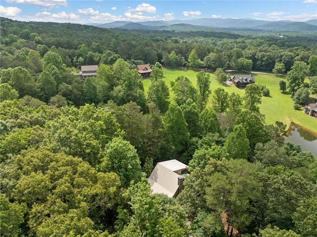 85 Misty Hollow Rdg, Ellijay, GA 30536 - aerial view of a heavily wooded area and a water and mountain view