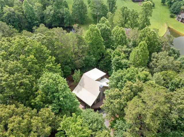 85 Misty Hollow Rdg, Ellijay, GA 30536 - bird's eye view of a nearby body of water and a forest