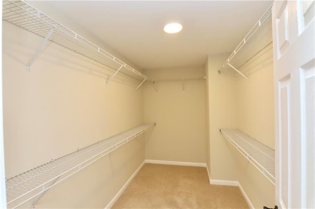 walk in closet featuring carpet