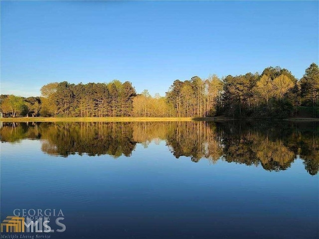 110 Serenity Pl, Fayetteville, GA 30214 - water view with a forest