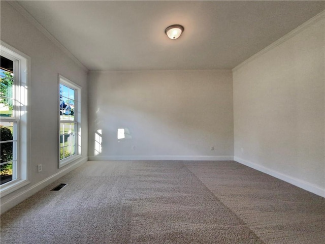 empty room featuring ornamental molding and carpet floors