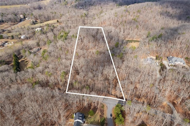 LL247 Grizzle Rd, Dawsonville, GA 30534