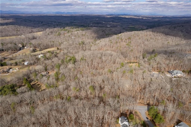 LL247 Grizzle Rd, Dawsonville, GA 30534
