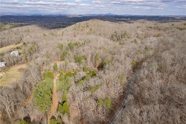 LL247 Grizzle Rd, Dawsonville, GA 30534