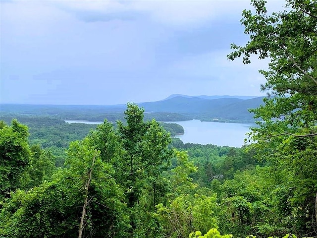 property view of mountains with a water view