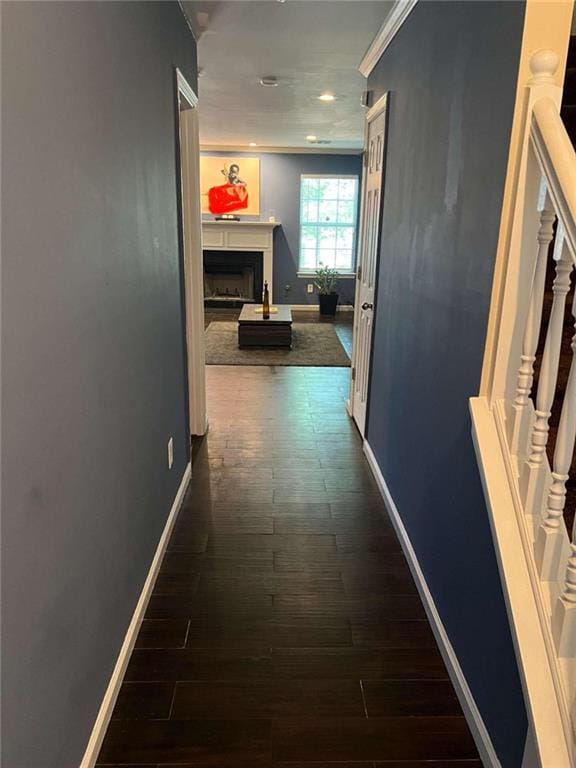 corridor featuring dark wood-type flooring and crown molding