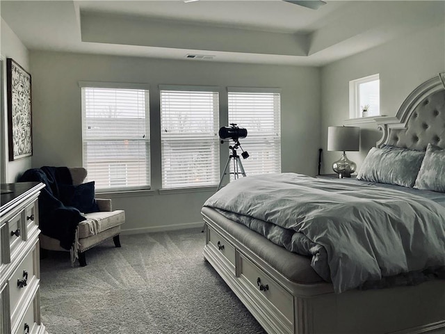 carpeted bedroom featuring a raised ceiling