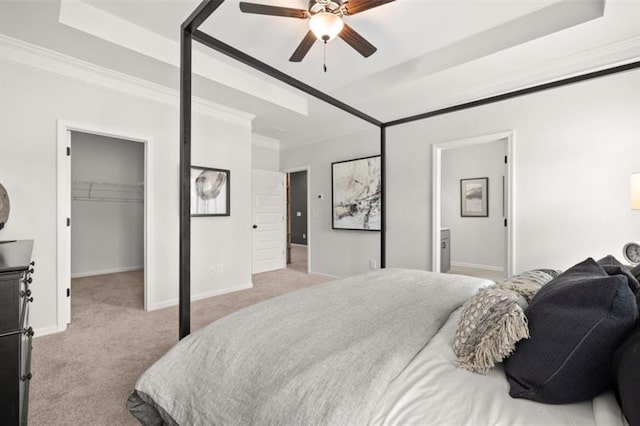 bedroom with baseboards, ornamental molding, carpet, a tray ceiling, and a walk in closet