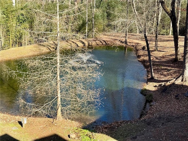 136 Timothy Park Ln, Athens, GA 30606 - water view