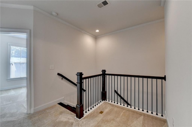 stairway featuring crown molding and carpet flooring