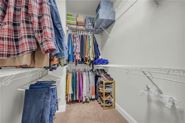 spacious closet with light carpet