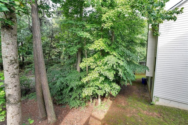 4321 Clairesbrook Ln, Acworth, GA 30101 - view of yard
