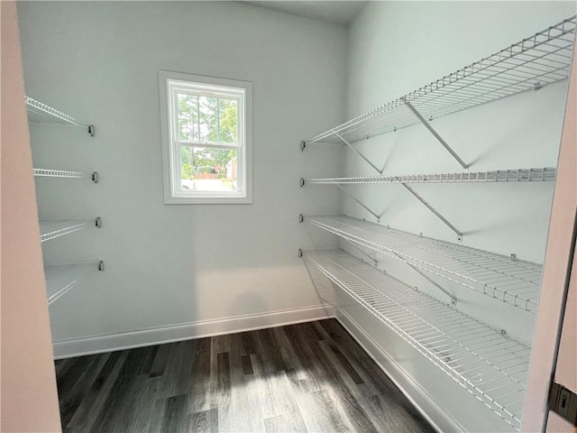 154 Pope Paul Path, Dallas, GA 30132 - view of pantry