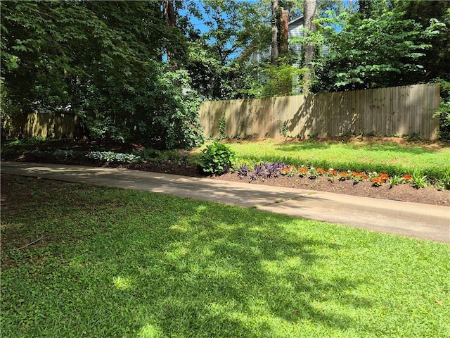 4094 Carlisle Pl, Stone Mountain, GA 30083 - view of yard
