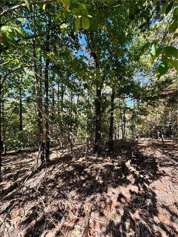 0 Vista View Pkwy, Jasper, GA 30143