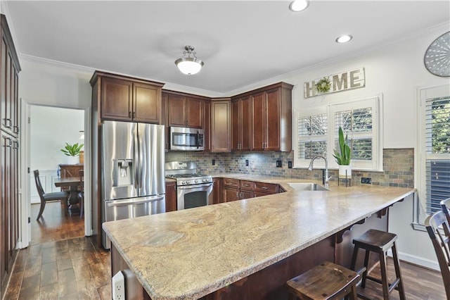 kitchen with appliances with stainless steel finishes, a healthy amount of sunlight, sink, and kitchen peninsula