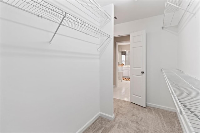 spacious closet with light carpet