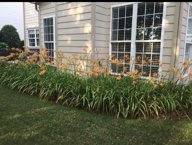 view of home's exterior with a lawn