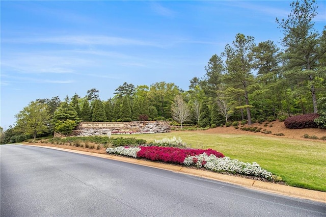 1000 Eight Knot Ct, Greensboro, GA 30642 - view of asphalt road