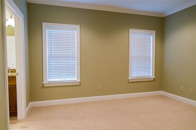 105 Maplecrest Ln, Rome, GA 30161 - spare room featuring ornamental molding and light carpet