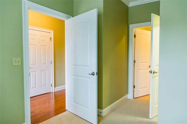 105 Maplecrest Ln, Rome, GA 30161 - hall with ornamental molding and carpet floors