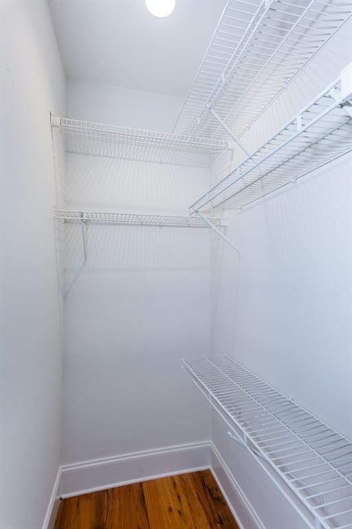 spacious closet featuring wood finished floors