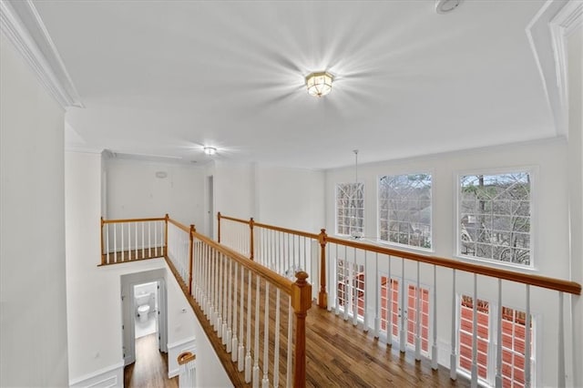 hallway featuring hardwood / wood-style flooring and crown molding