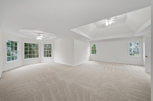 spare room featuring light colored carpet, plenty of natural light, and a raised ceiling