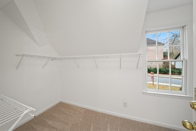 walk in closet featuring carpet flooring