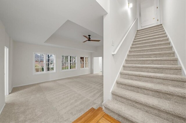 staircase with carpet, ceiling fan, and a tray ceiling