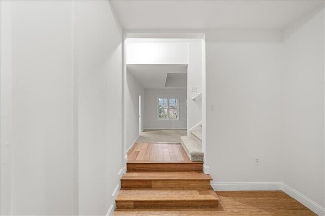 stairs with hardwood / wood-style floors