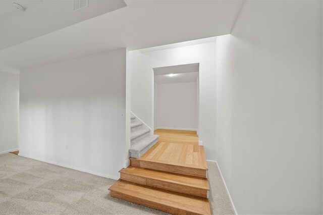 staircase with carpet floors