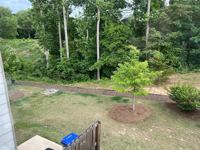 view of grassy yard