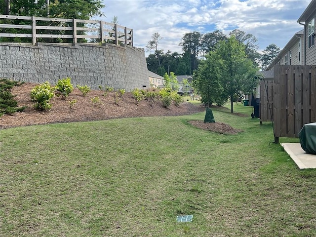 view of yard