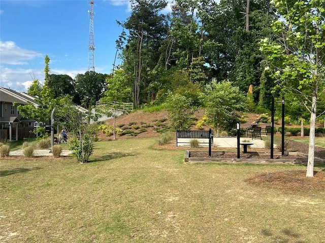 view of green lawn
