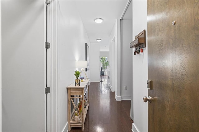 hallway with dark hardwood / wood-style flooring