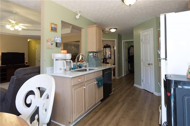 kitchen with ceiling fan, light brown cabinetry, dishwasher, a textured ceiling, and sink