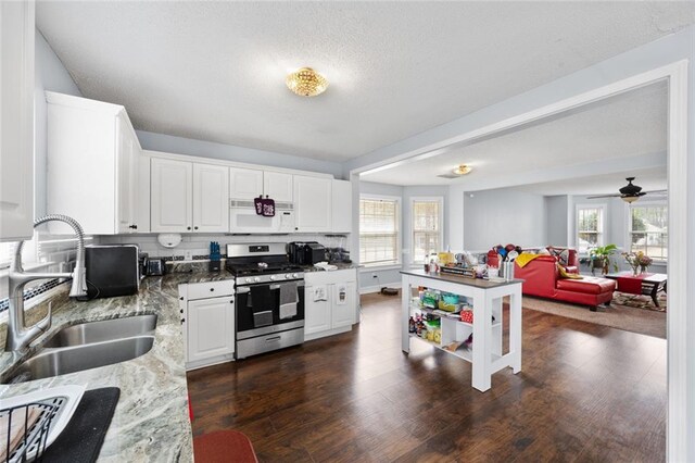 kitchen featuring a sink, stainless steel gas range, white microwave, and a wealth of natural light