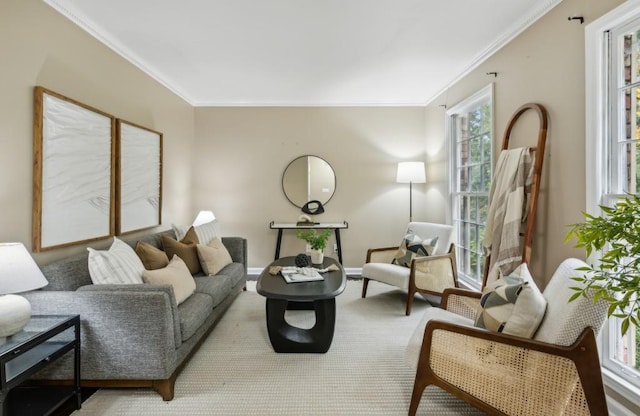 living room with crown molding