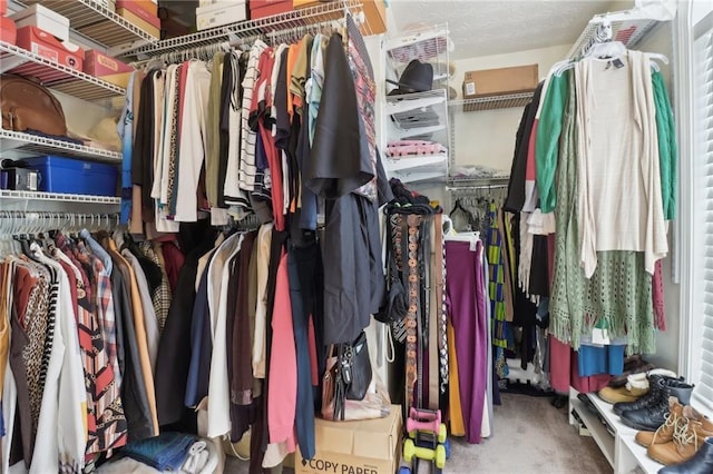 walk in closet featuring carpet floors