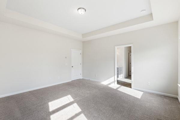 1494 Weeping Tree Cir, Auburn, GA 30548 - unfurnished room with carpet flooring and a raised ceiling
