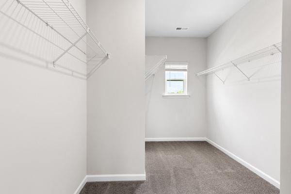 1494 Weeping Tree Cir, Auburn, GA 30548 - spacious closet with carpet