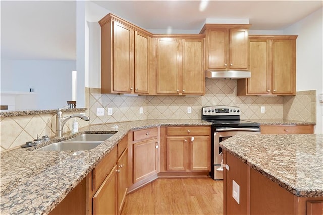 kitchen featuring sink, tasteful backsplash, light hardwood / wood-style floors, and stainless steel electric range