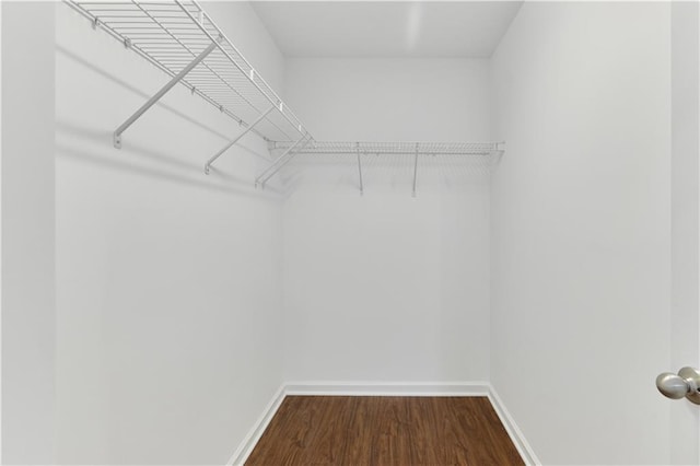 spacious closet featuring hardwood / wood-style floors