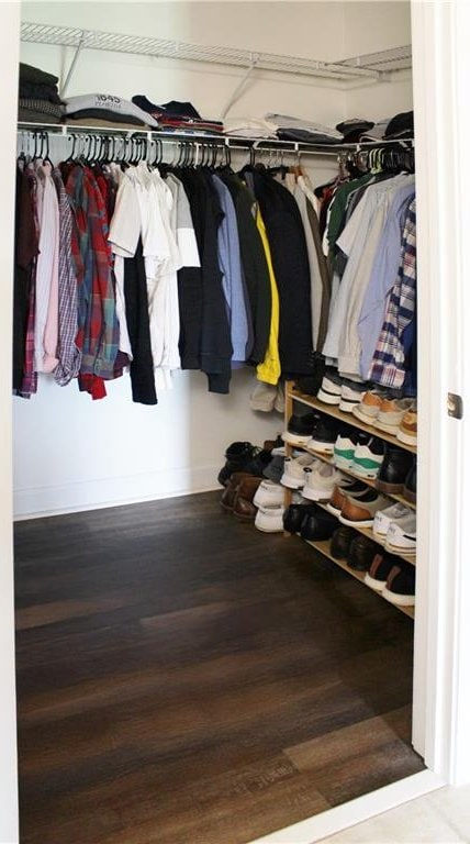 711 Cosmopolitan Dr Unit 413, Atlanta, GA 30324 - view of closet